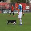 Iz Slobode šaljivo poručili: "Dognaldu" bez obzira na vještine neće biti ponuđen ugovor