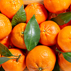 Znate li zašto svaki dan trebate jesti mandarine?