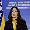 Vulić o Šaroviću i SDS-u: Sjednica Glavnog odbora im liči na komemorativni skup