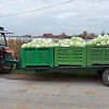 Cijene krompira i kupusa i do tri puta više nego prošle godine