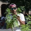 Luksemburg postao prva zemlja u Evropi koja je legalizovala uzgoj kanabisa u domovima