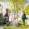 Beč je ovogodišnji Evropski grad stabala