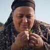 Nagrađivani film "Švedsko srce moje majke" od februara u bh. kinima