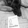 Sergej Trifunović objavio fotografiju svoje prve knjige "Stovarište"