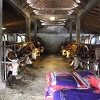 Poticaj Vlade ZDK izdvojila više od pola miliona KM za farmere u ovom kantonu