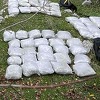 SIPA u Trebinju oduzela 200 kilograma marihuane i uhapsila tri osobe