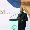 Izetbegović: U dijaspori se budi inat koji će BiH donijeti promjene