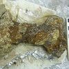 Vikinški mač pronađen u Škotskoj potiče iz 9. stoljeća