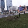 U centru Sarajeva posječeno 20 godina staro stablo jer je vjerovatno zaklanjalo bilbord