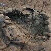 Tragovi ranog dinosaura, utisnuti prije više od 200 miliona godina, pronađeni na plaži u Velsu
