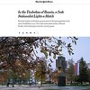Retrospektiva 2021. godine u BiH iz ugla New York Timesa: Koji je Dodikov konačni plan?
