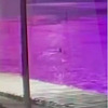 Objavljeni snimci za koje se sumnja da prikazuju nestalog Splićanina, na jednom se vidi plivač u Savi