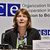 Misija OSCE-a u BiH: Zapaljiva retorika zvaničnika doprinijela je incidentima