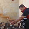 Bolničar u razrušenom Idlibu brine o 400 napuštenih i povrijeđenih mačaka