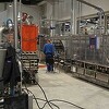 Povratkom lasta u Hercegovinu vraćaju se i poznati "Lastini" keksi na bh. tržište