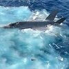 Američka mornarica se sprema za podizanje borbenog aviona s dna mora