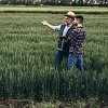 Slijedi li nam nova kriza: Cijene žitarica u svijetu enormno skočile, a to ima utjecaj i na BiH
