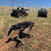 Američka granična policija na granici s Meksikom testira robotske pse