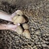 Za očuvanje poljoprivrede i ruralnog turizma u FBiH obećana veća podrška u 2022.