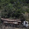 Deforestacija Amazona je prošli mjesec bila najveća od 2015. godine