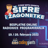 Djeca i mladi iz cijele Bosne i Hercegovine programiraju besplatno online sa Coding Giants BiH