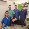 Veterinar Bojan izveo kompliciranu operaciju i spasio život psu kojeg je neko ustrijelio