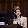 Na inicijativu Karić usvojena Rezolucija za uspostavu stabilnosti u regionu