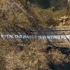 Grafiti povodom rata preplavili Evropu, gradonačelnik Vilniusa poručio: Putine, čeka te Hag