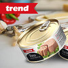 Trend tuna – ukusna i zdrava