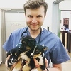 Poljski veterinar iz ratne zone u Ukrajini spasio više od 260 kućnih ljubimaca