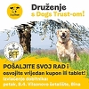 Prvo veliko Dogs Trust druženje u Sarajevu uz nagradno izvlačenje
