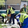 Sutra u Kantonu Sarajevo počinje proljetna akcija čišćenja