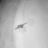 Helikopter Ingenuity obavio novi let na putu do delte prahistorijske rijeke