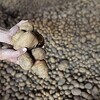 BiH može sama proizvesti dovoljne količine hrane za svoje potrebe: Kome to nije u interesu?