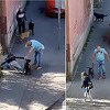 Muškarac u Zemunu nasred ulice pretukao ženu i njenog psa