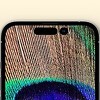 Appleovi modeli iPhonea 14 će imati selfie kamere s autofokusom