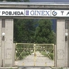 Zbog saznanja o mogućoj smjeni direktorice Ginexa reagirali rukovodioci i sindikalna organizacija