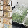 U Sarajevu otkrivena laboratorija za uzgoj marihuane, uhapšene dvije osobe