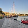 Neobičan incident u Makarskoj: Pas s obale doplivao do muškarca i ugrizao ga za ruku