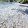 Jablaničko jezero zahvaćeno cvjetanjem algi: Da li se radi o ekološkoj katastrofi