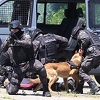 Policija u Tuzli pokazala kako hapsi kriminalce, uskoro će presretačem kažnjavati vozače