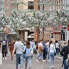 Istraživanje NDI-a: Dodik nema većinsku podršku naroda u RS-u za nezavisnost entiteta