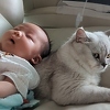 Nevjerojatan trik: Beba prestane plakati i zaspi čim je mama stavi na mačku