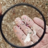 U svježem snijegu na Antarktiku pronađena mikroplastika