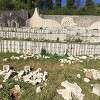 Delegacija EU: Osuđujemo uništavanje simbola pobjede nad zaostalim fašističkim idejama