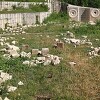 Udruženje generala BiH o uništavanju Partizanskog groblja: Reinkarnacija fašizma neće proći