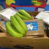 Portugalska policija zaplijenila nekoliko tona kokaina sakrivenog u pošiljkama banana