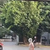 Vlada se ogradila od performansa nagog muškarca u Sarajevu