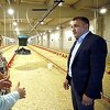U Brezi otvoren proizvodni pogon za uzgoj i tov kapaciteta 10.000 pilića