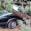 Vjetar rušio drveće po Mostaru, oštećena i vozila u gradu